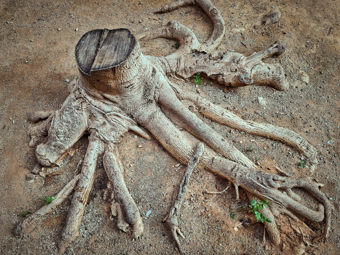 07-Pc13-2025-05-16 19.33.51